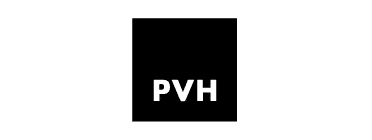 INSIGHTFUL_LOW-CODE_LOGO_PVH