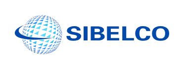 INSIGHTFUL_LOW-CODE_LOGO_SILBECO